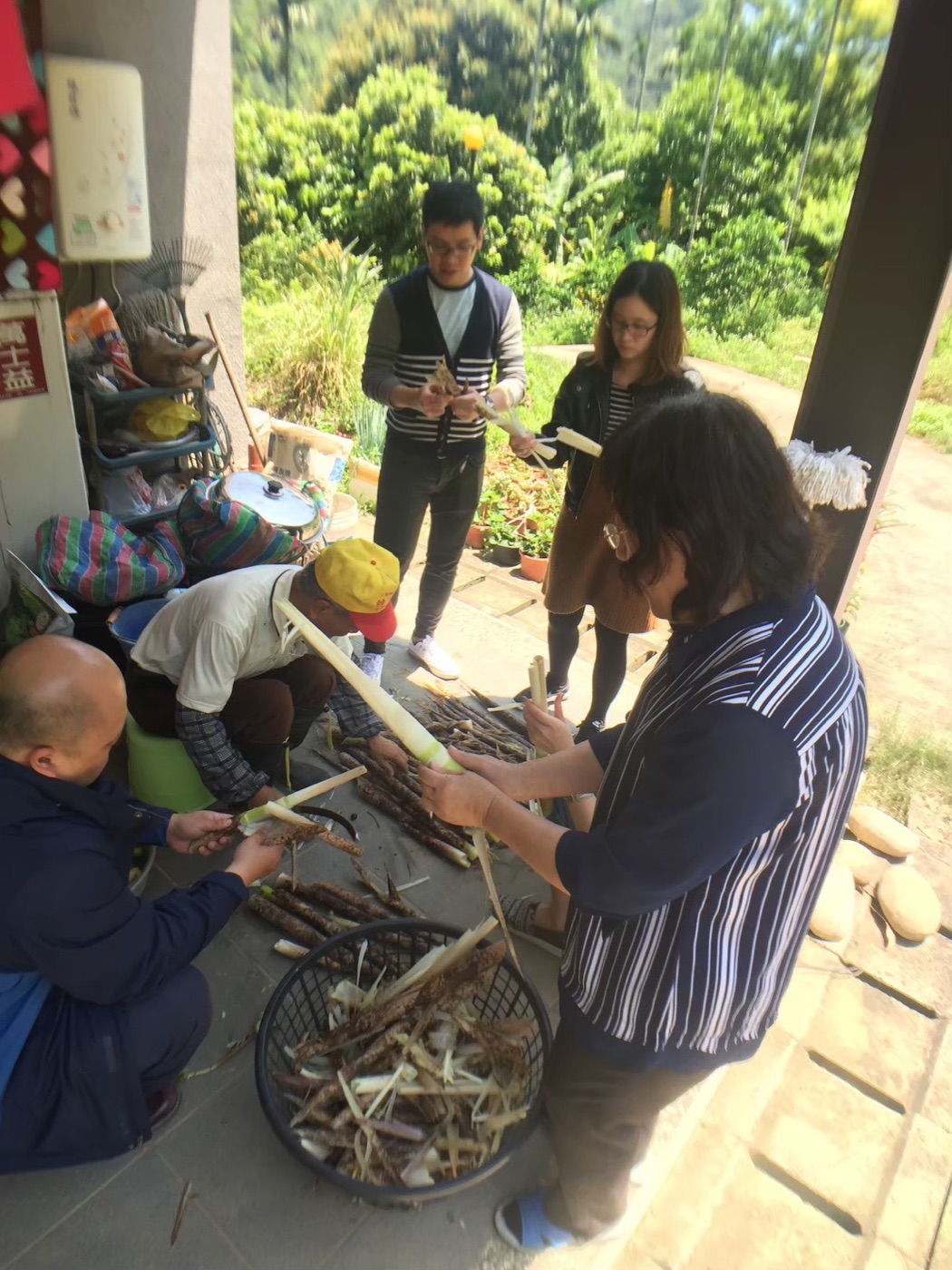 旅客在屋前一起整理當季農作